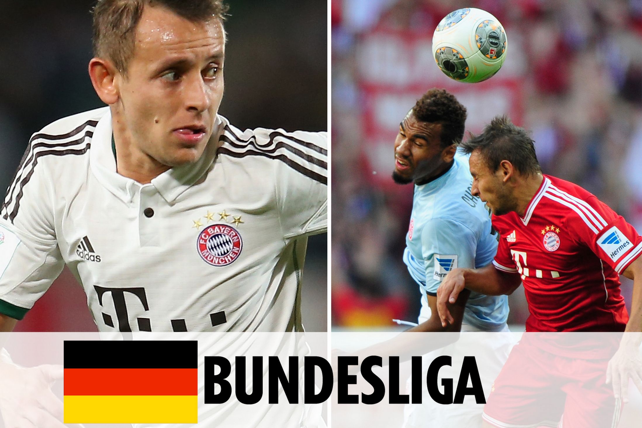 实力与特点 实力与特点